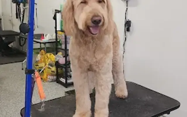 AJ's Pet Grooming in St Michael, MN