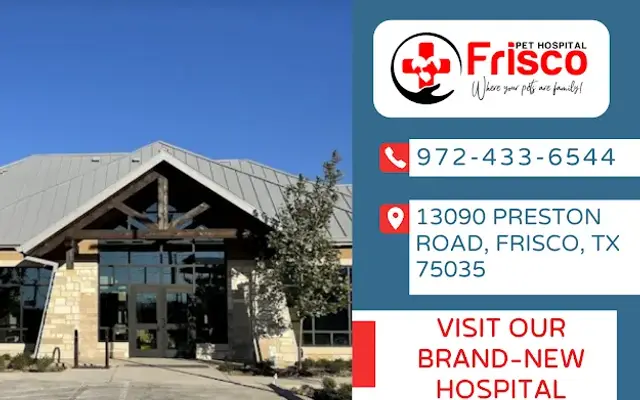Frisco Pet Hospital in Frisco, TX