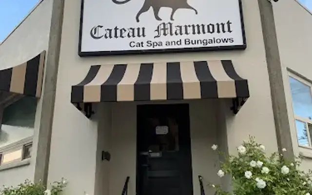 Cat Boarding Los Angeles, Cat Grooming Los Angeles, Cat & Pet Hotel, Cat Boarding Burbank & Los Feliz : Cateau Marmont in Burbank, CA