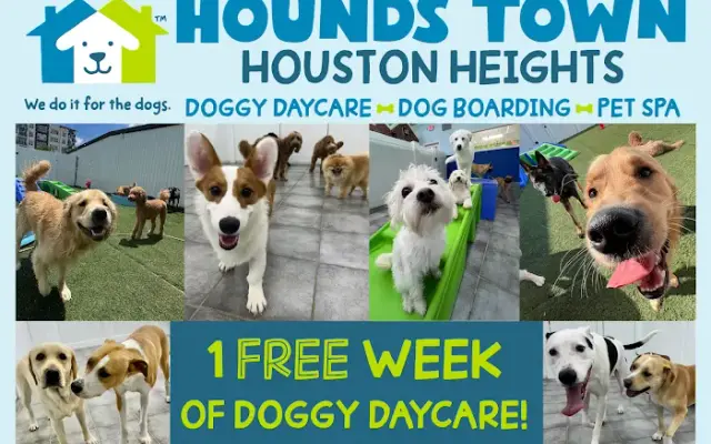 Hounds Town - Houston Heights in Houston, TX