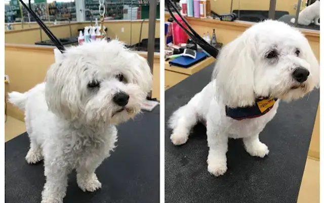 AApetcare in Cleveland, OH