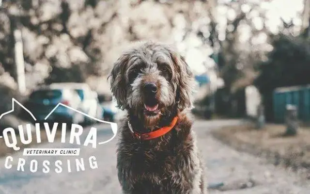 Quivira Crossing Veterinary Clinic in Overland Park, KS