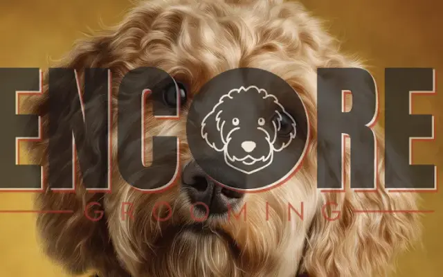 Encore Grooming in Fayetteville, AR