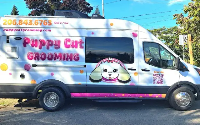 Puppy Cut Grooming in Maple Valley, WA