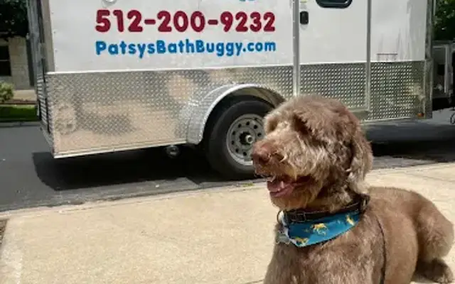 Patsy's Bath Buggy in Georgetown, TX