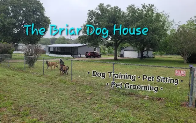 NTX K9 & The Briar Dog House in Azle, TX