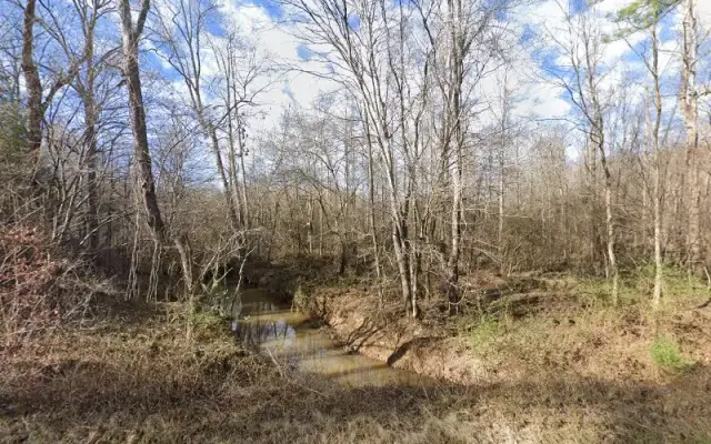 Goldston Grooming in Goldston, NC