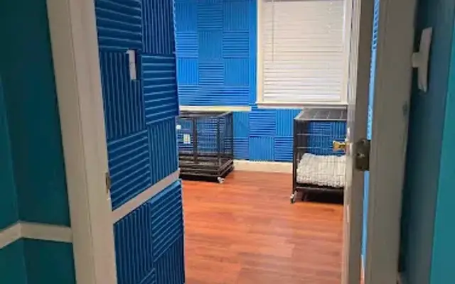 Aloha Doggy Daycare in Brookhaven, PA