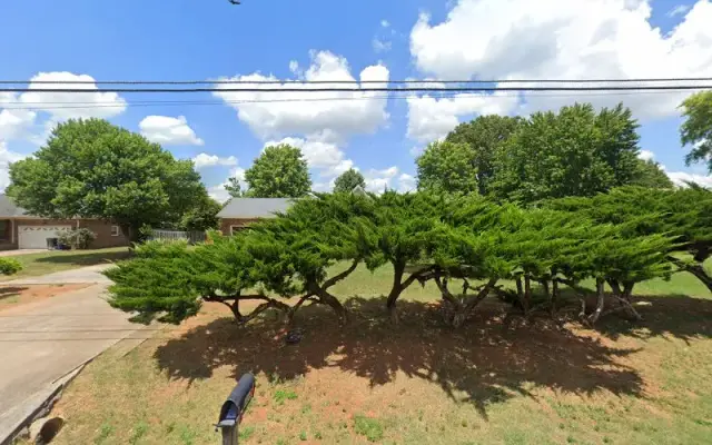 Doggie Junction-Alabama in Hazel Green, AL