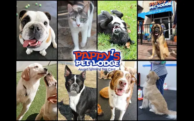 Pappy's Pet Lodge - Addison in Addison, TX