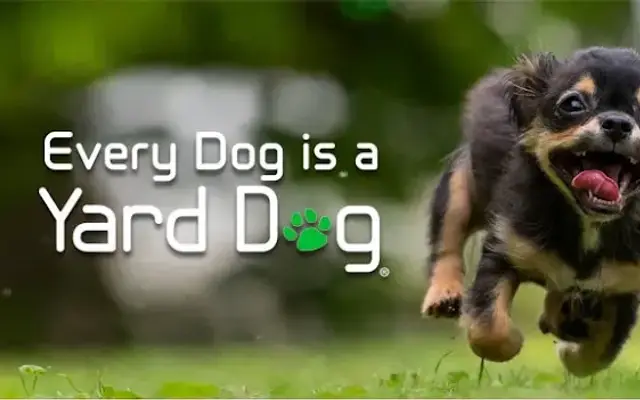 The Yard Dog in Addison, TX