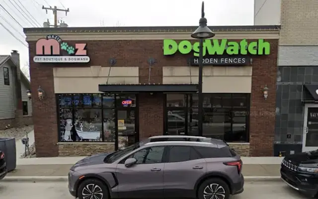 Mazie Mooz Boutique & Dogwash in Brighton, MI