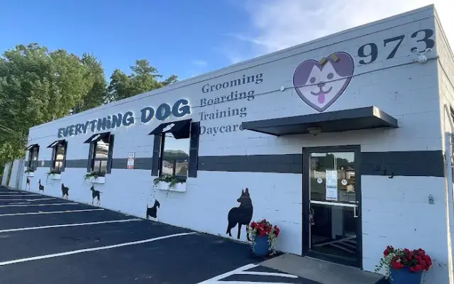 Everything Dog in Canton, MA