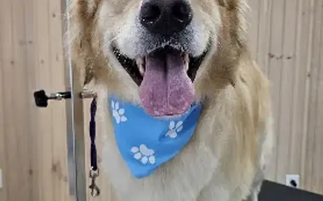 The Snoot Spa in Carlisle, PA
