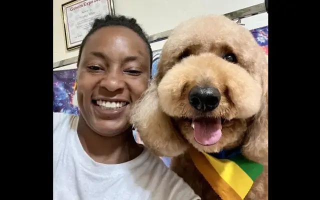 Rainbow Paws Grooming in Brooklyn, NY
