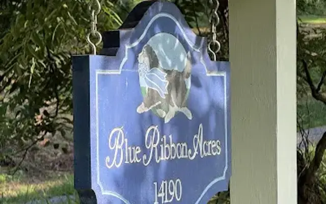 Blue Ribbon Acres in Lovettsville, VA