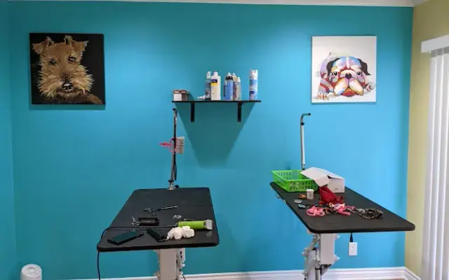 Doggy Land Grooming in Downey, CA