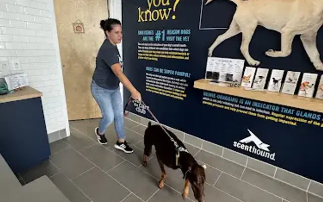 Scenthound PBG Northlake in Palm Beach Gardens, FL