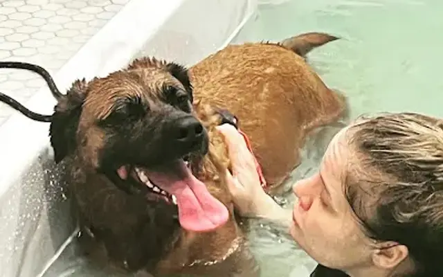 Waterdog Spa in Seattle, WA
