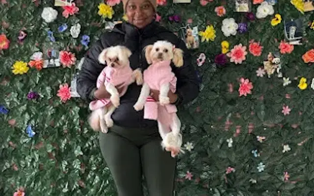 Board and Bark Dog/Cat Grooming in Hillside, IL