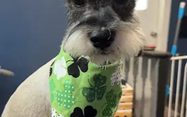 Chasity’s Pet Spa in Crowley, LA