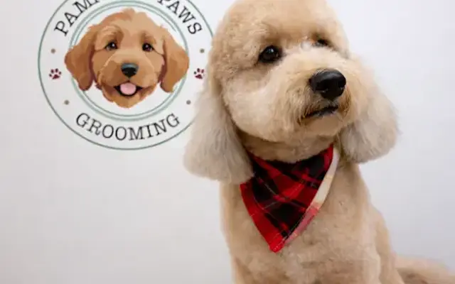 Pampered Paws Grooming Goodlettsville in Goodlettsville, TN