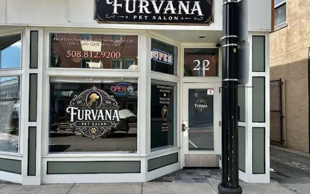 Furvana Pet Salon in Taunton, MA