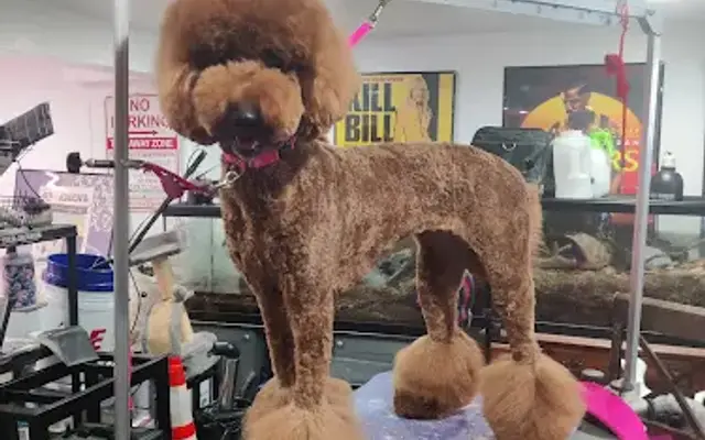 Webster's Dog House in Baltimore, MD