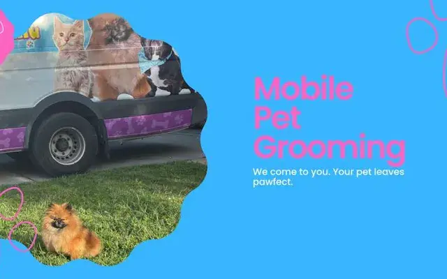 Dismevet Mobile Pet Grooming in Kissimmee, FL