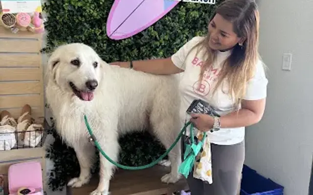 dogWOW in Huntington Beach, CA