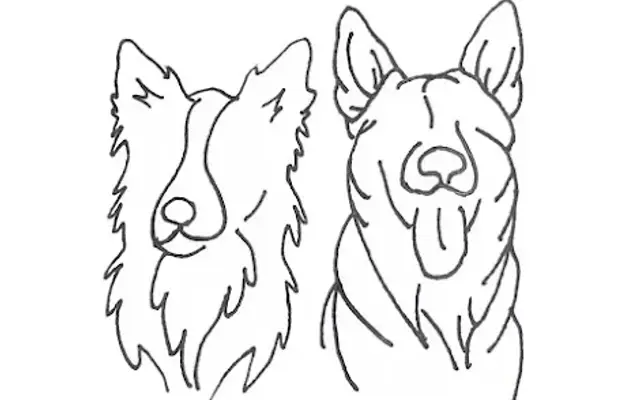 Home Pet Essentials LLC in Glenmont, NY