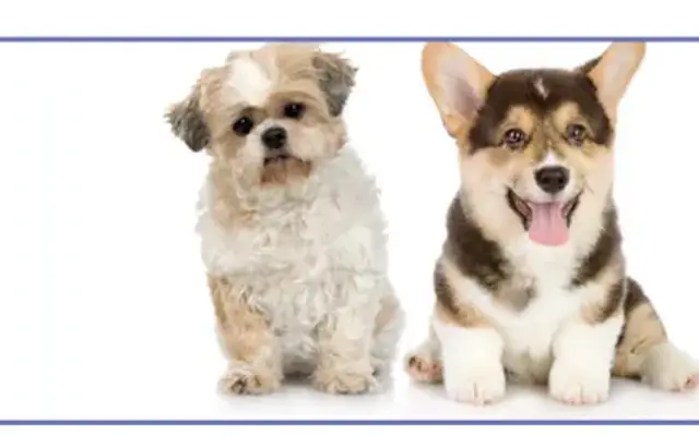 Pretti-Pet Inc Mobile Salon in Glen Burnie, MD