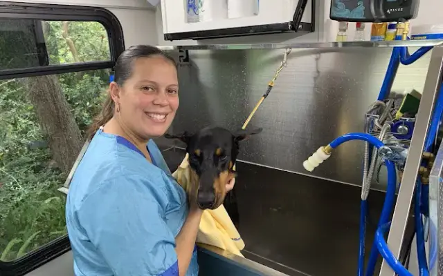 Heavenly Pets Mobile Grooming LLC in Ocala, FL