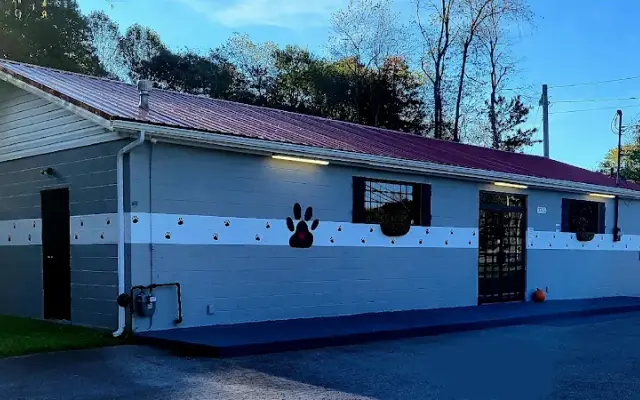 Best Friends Boarding Kennel, LLC in Eccles, WV