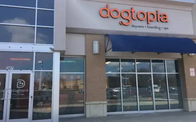 Dogtopia of Limerick in Royersford, PA