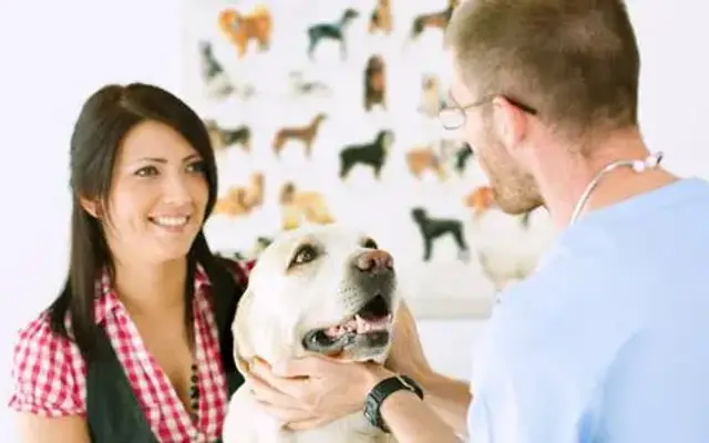 East Columbus Veterinary Hospital in Columbus, OH