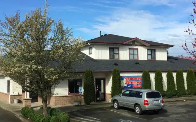 Spanaway Veterinary Clinic in Spanaway, WA