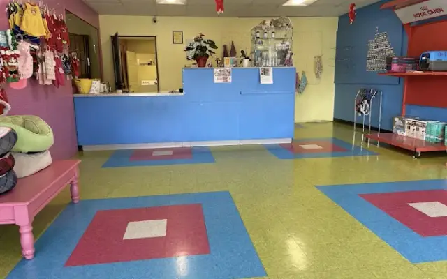 Happy Dogs Grooming in Van Nuys, CA