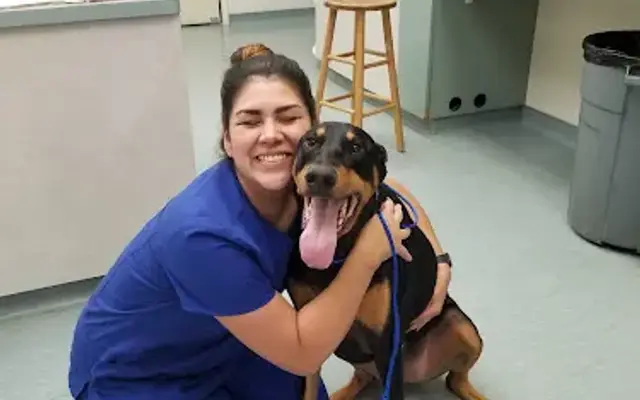 Easton Commons Animal Hospital in Houston, TX