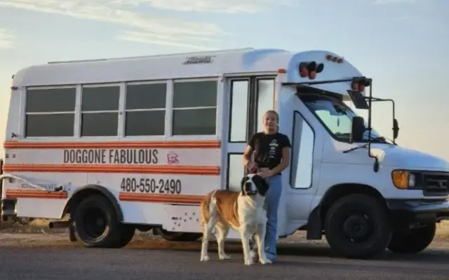 Doggone Fabulous in Mesa, AZ