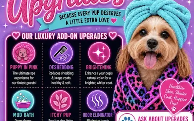 Ruff2Glam Grooming Salon in League City, TX