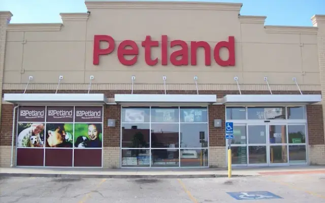 Petland Fayetteville in Fayetteville, AR