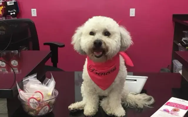 Woof Gang Bakery & Grooming West U in Houston, TX