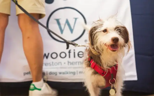 Woofie’s® Reston-Herndon-Sterling in Reston, VA