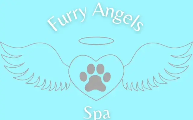 Furry Angels Spa in Austin, TX