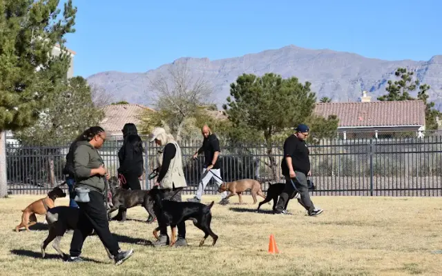Zenith K9 in Las Vegas, NV