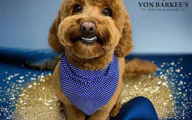 Von Barkee's Dog Spa & Bakery in Wilmington, NC
