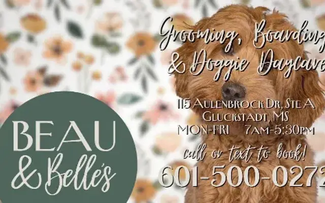 Beau & Belle's Dog Grooming (Beau and Belle's) in Canton, MS