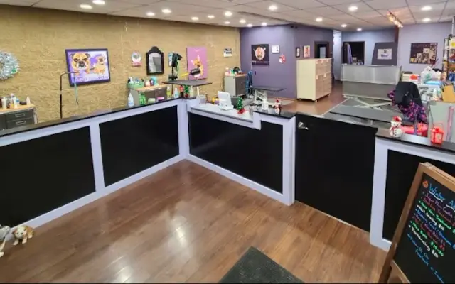 Furrari Pet Spa Ltd in Lake Bluff, IL
