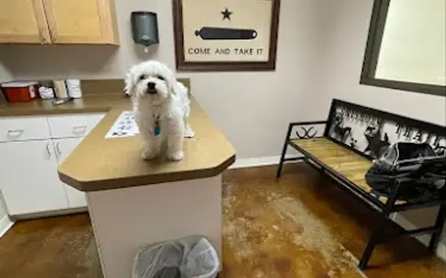 Chisholm Trail Veterinary Clinic of Lockhart in Lockhart, TX